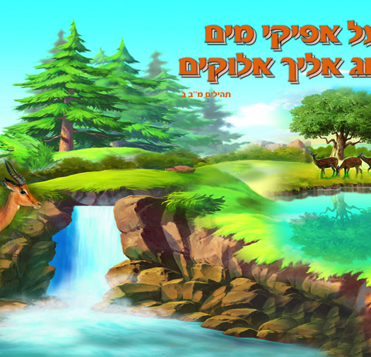 כאיל תערוג 7-41