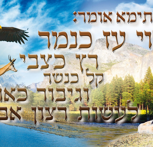 הוי עז  15-68