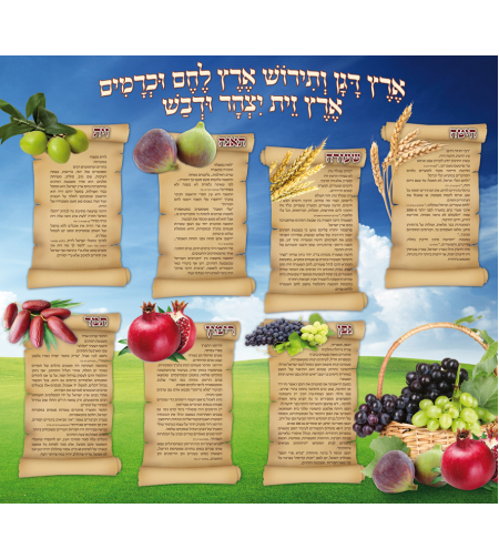 שבעת המינים 17-161