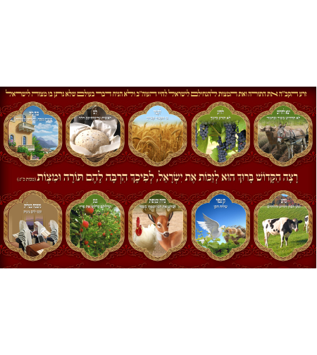 רצה הקב