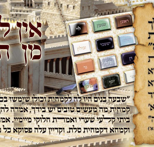 צניעות 17-69