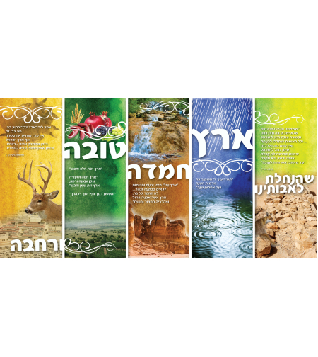 ארץ חמדה 13-62