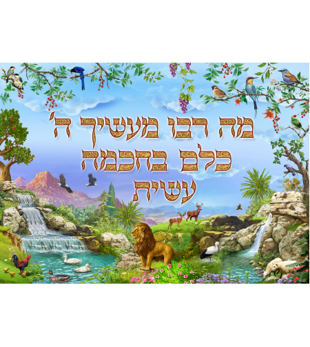 מה רבו  2 18-120