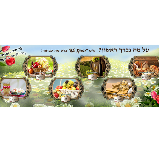 מגע אש 17-23