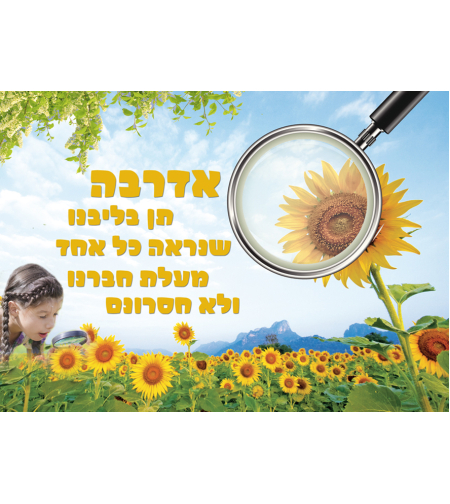 אדרבה 17-59