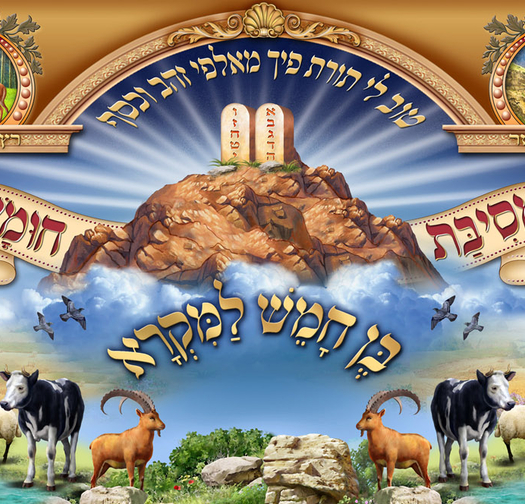 מסיבת חומש 15-65