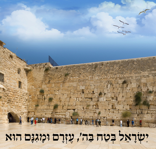 ישראל בטח בה 15-118