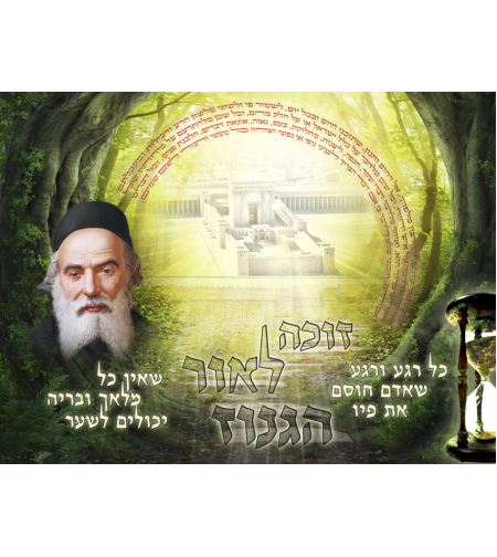 כל רגע 17-77