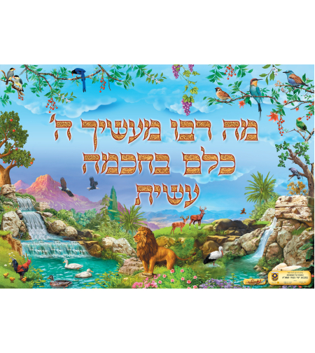 מה רבו וקסברגר