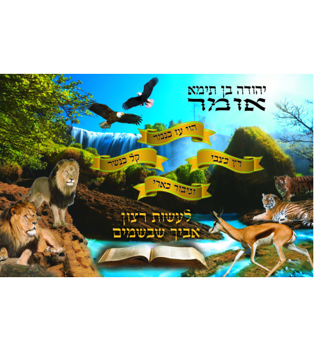 הוי עז 7-58