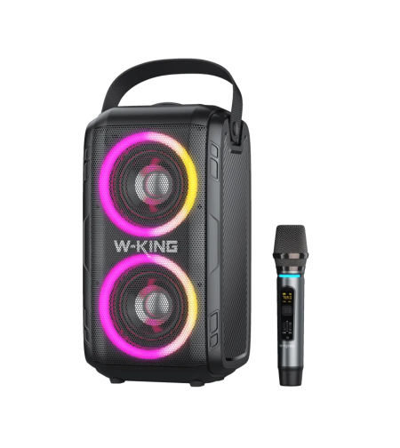 בידורית קריוקי עוצמתית W-KING T9 80W