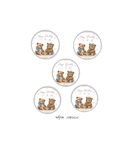 מטבעות שוקולד דגם דובי