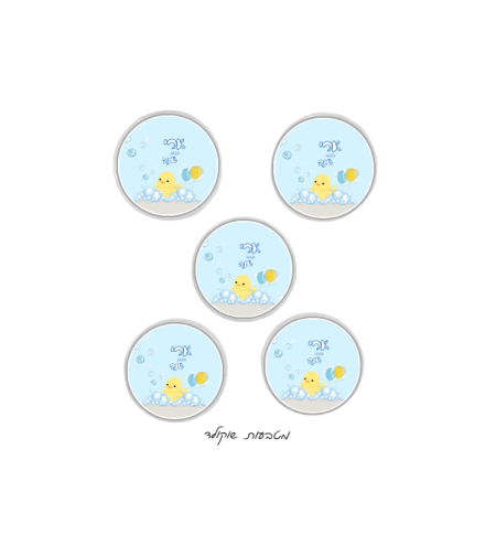 מטבעות שוקולד דגם אפרוח