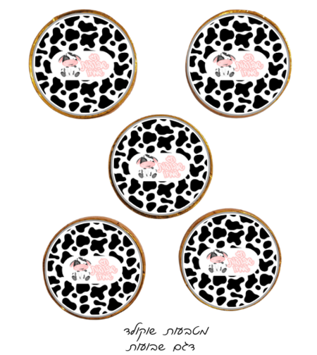 מטבעות שוקולד דגם שבועות