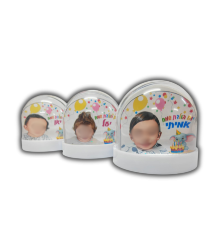 כדור שלג עם תמונה