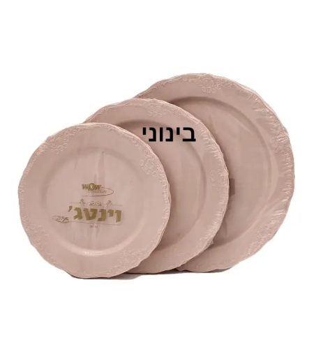 צלחות וינטאג' 10 יחידות גודל: 23 ס
