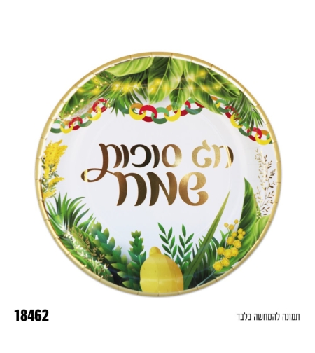צלחת נייר 9 סוכות 10 יחידות