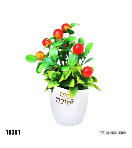עציץ לקישוט שנה טובה