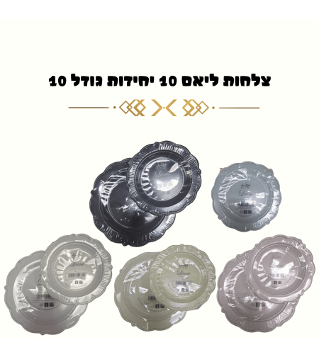 צלחות ליאם 10 יחידות גדולות