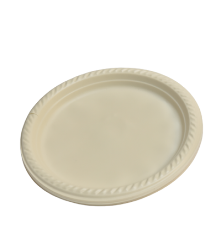 קרטון צלחות 10 אינץ 20 יחידות ארוז 26