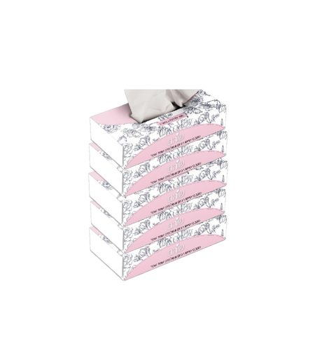 קרטון 10 חבילות חמישיית ממחטות טישיו 100 דף דו שכבתי שוהם