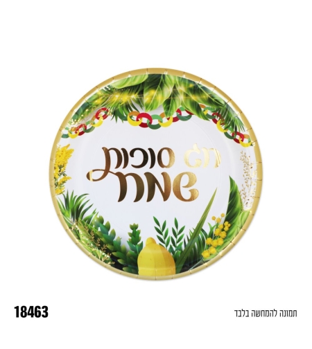 צלחת נייר 7 סוכות 10 יחידות