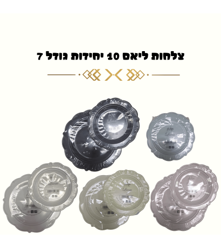 צלחות ליאם 10 יחידות קטנות