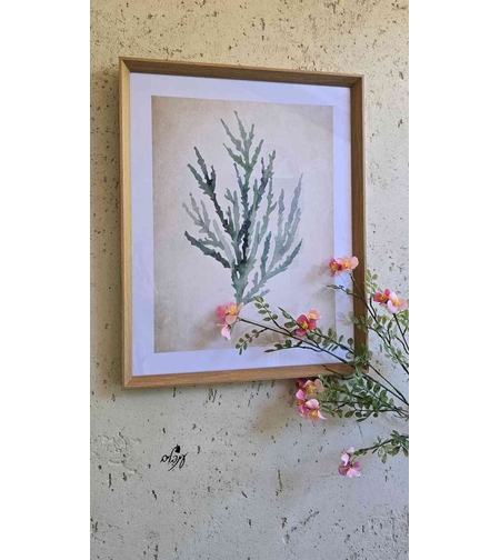 תמונת צמח דגם 1