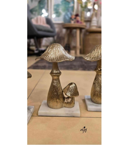 פטריית ברזל מוזהבת זוגית