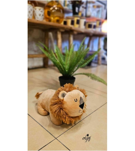 מעצור דלת אריה 1