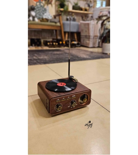 רדיו רטרו דגם 43