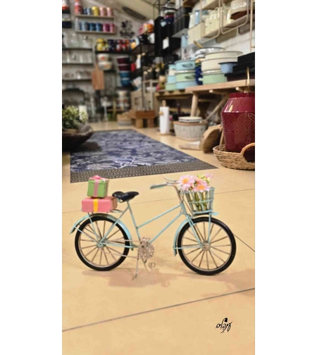 אופניים קיבוץ