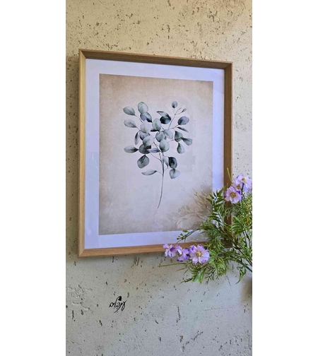 תמונת צמח דגם 4