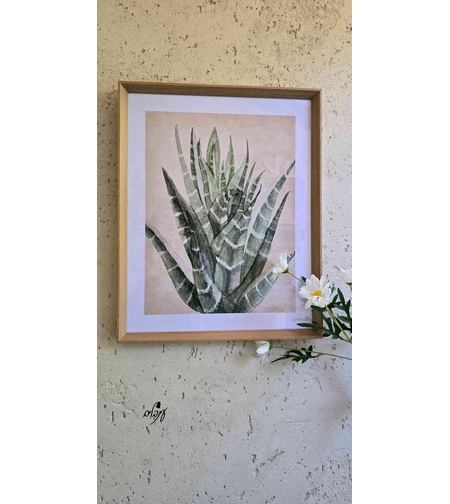 תמונת צמח דגם 3