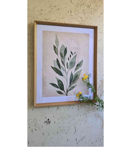 תמונת צמח דגם 2