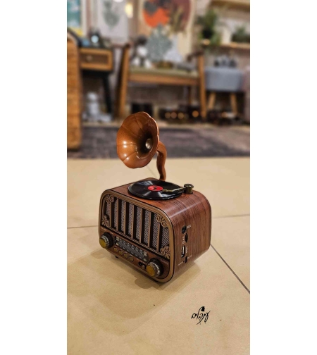 רדיו רטרו דגם 45