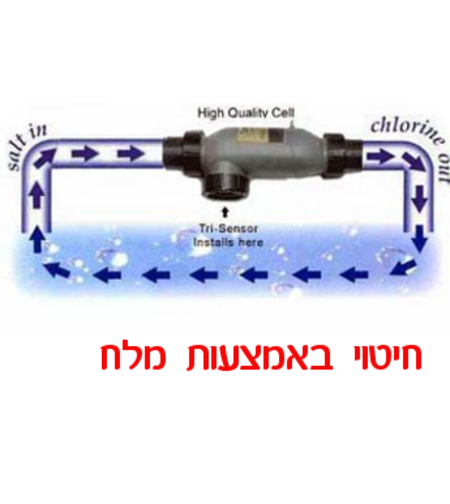 חיטוי במלח