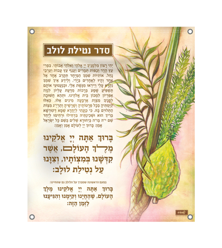 קישוט סוכה – סדר נטילת לולב