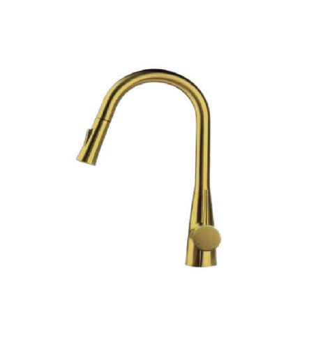 ברז נשלף מוזהב מקלח 2 מצבים Swiss Aqua 678103 יועם