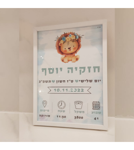 תעודת לידה- דגם 