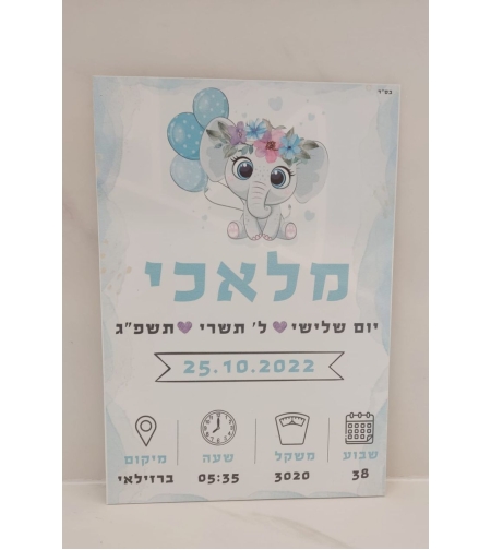 תעודת לידה- דגם 