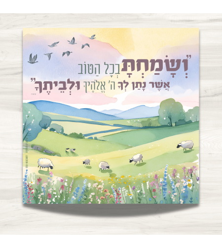 שמשונית- דגם 