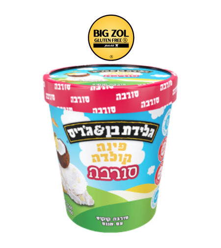 دلو آيس كريم (بوظة)  أناناس + جوز هند Ben & Jerry’s