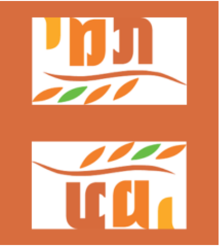 תמי