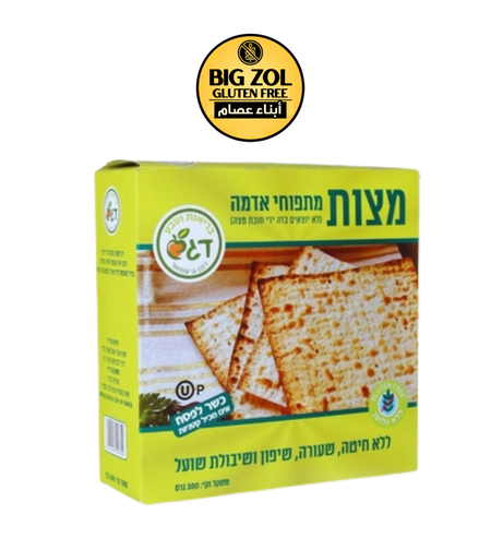 خبز محمص (مصة)