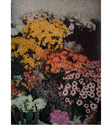 צילום - FLOWERS