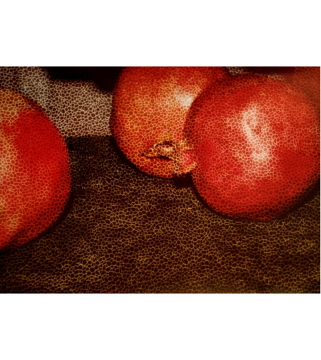 צילום - POMEGRANATE