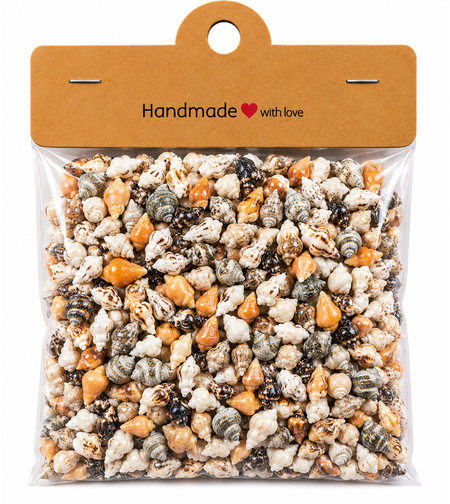 מארז צדפים טבעיים קטנים ליצירה ועיצוב – 600pcs Mini Natural Sea Shells Set