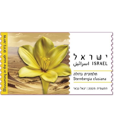 סט תויות - פריחה בדרום, חלמונית גדולה
