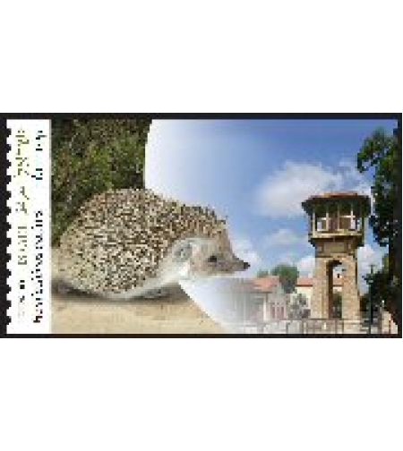 סט תוויות דואר מט - קיפוד החולות